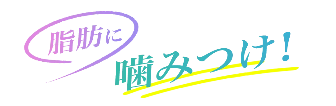 脂肪に噛みつけ！